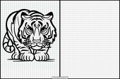 Tigers - Animals 1