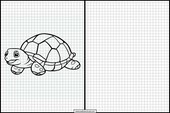 Schildkröten - Tiere 1