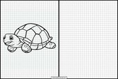 Tortues - Animaux 1