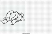 Sköldpaddor - Djur 3