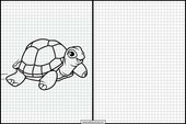 Turtles - Animals 3