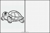 Sköldpaddor - Djur 5