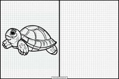 Tortugas - Animales 5