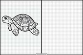 Tortues - Animaux 6