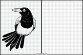 Magpies - Animals 2