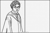 Harry Potter 28