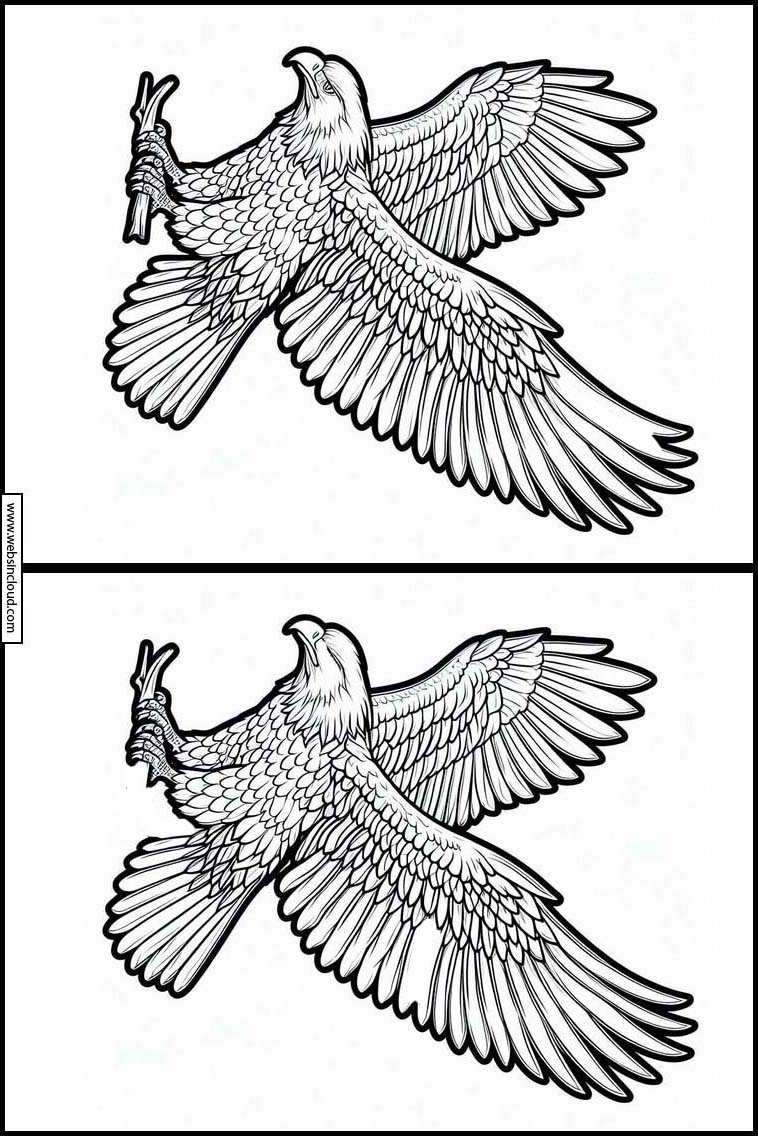 Adelaars - Dieren 2