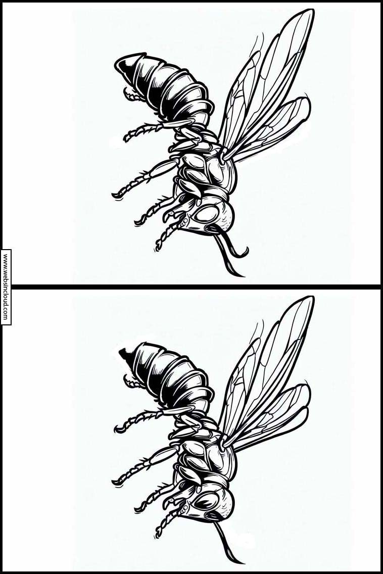 Wespen - Dieren 1