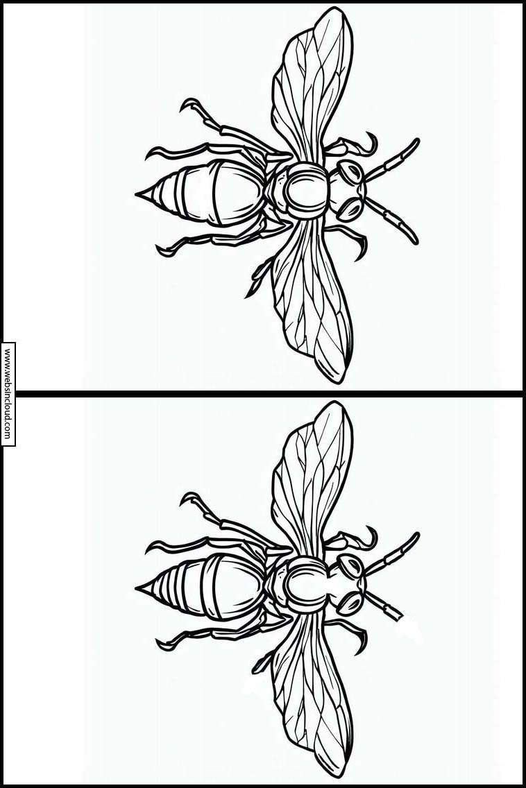 Wespen - Dieren 2