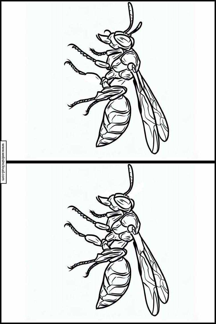 Wasps - Animals 3