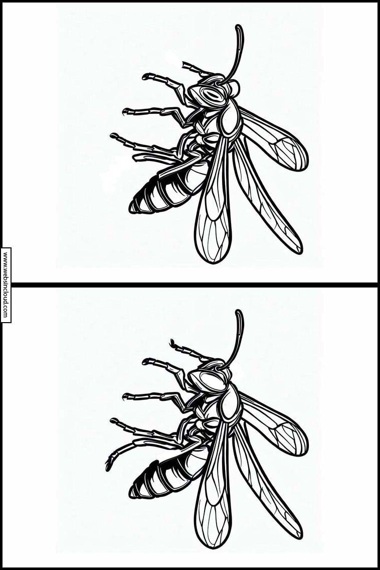 Wespen - Tiere 4