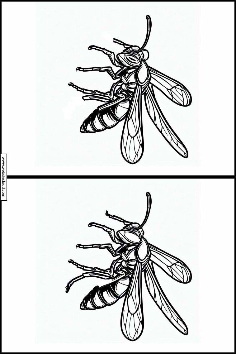 Wespen - Dieren 4