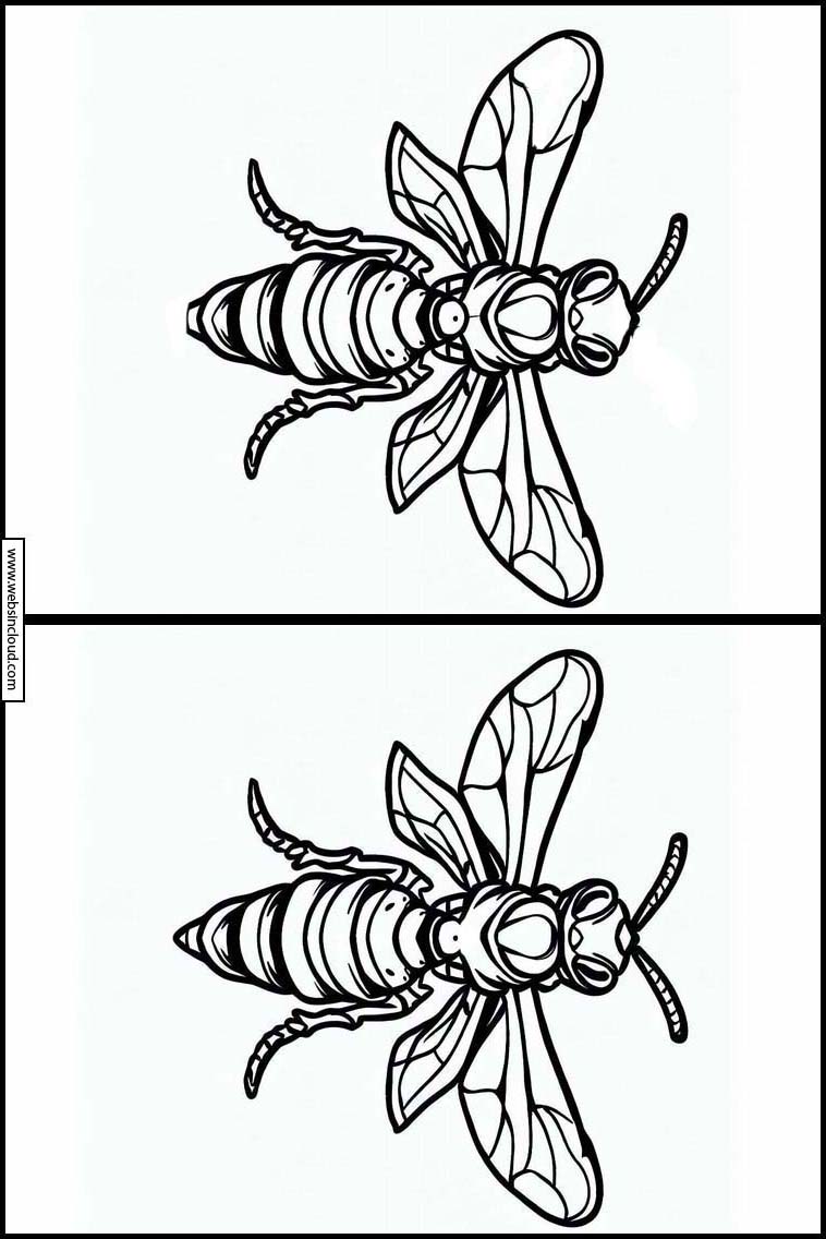 Wespen - Tiere 5