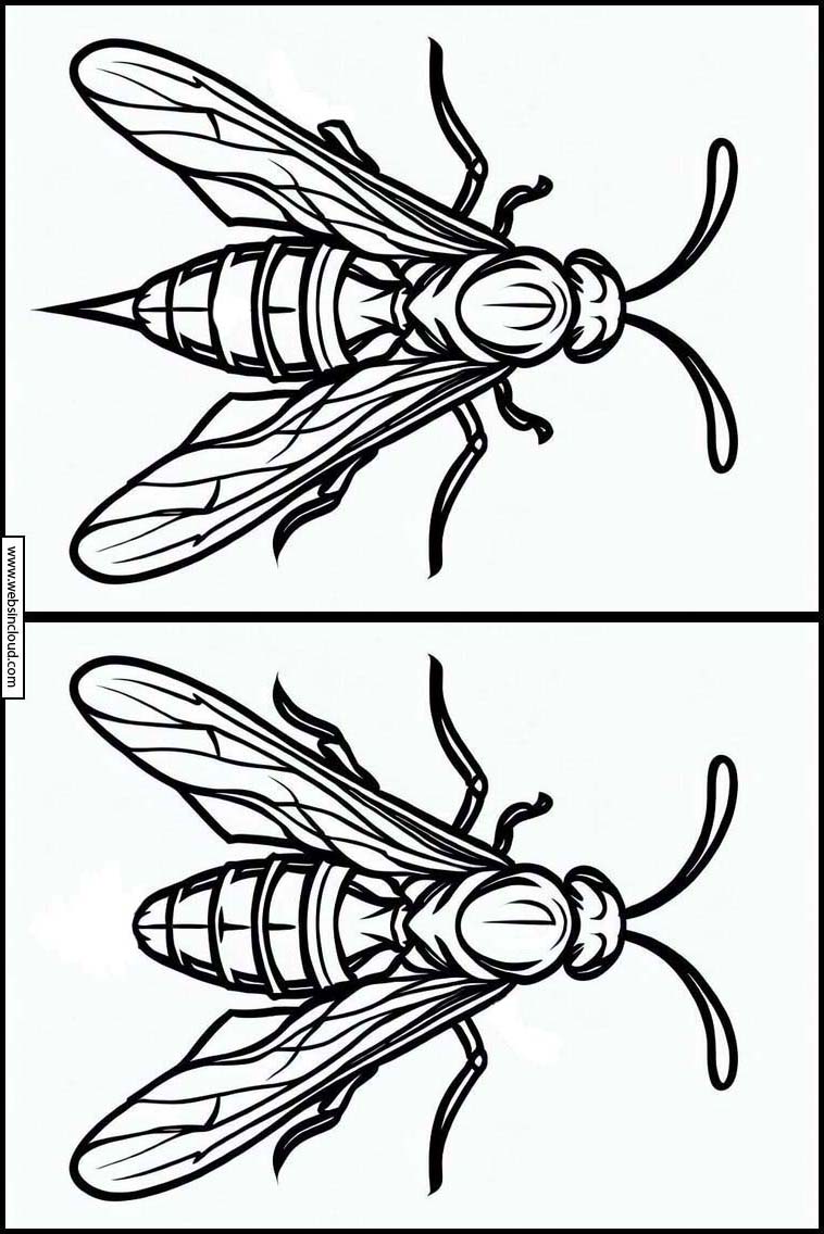 Wespen - Dieren 6