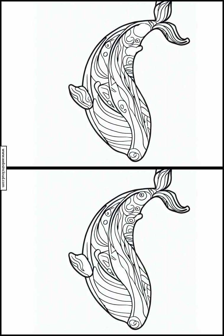 Walvissen - Dieren 4