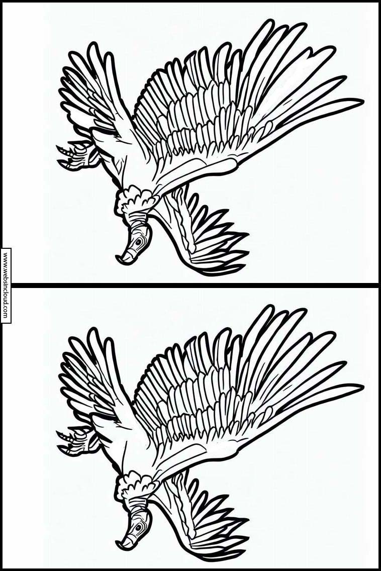 Gieren - Dieren 2