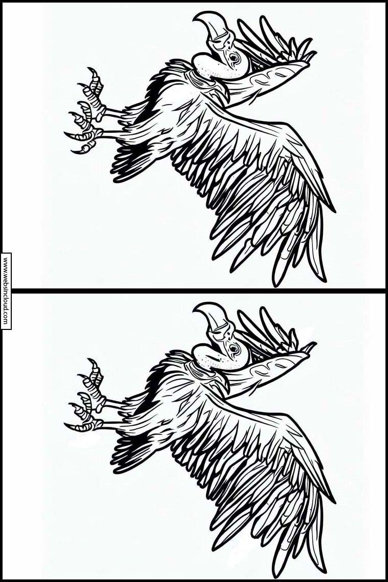 Avvoltoi - Animali 3