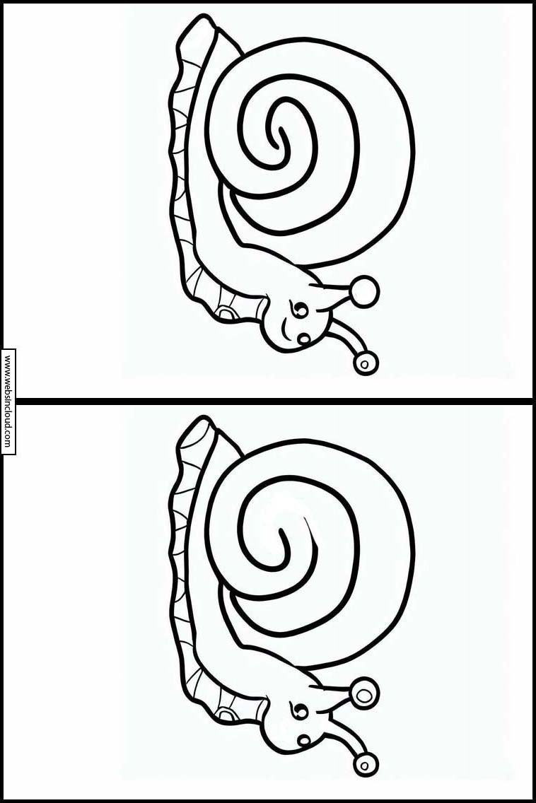 Escargots - Animaux 1