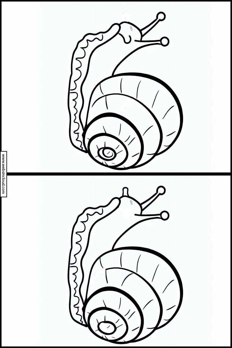 Snails - Animals 2