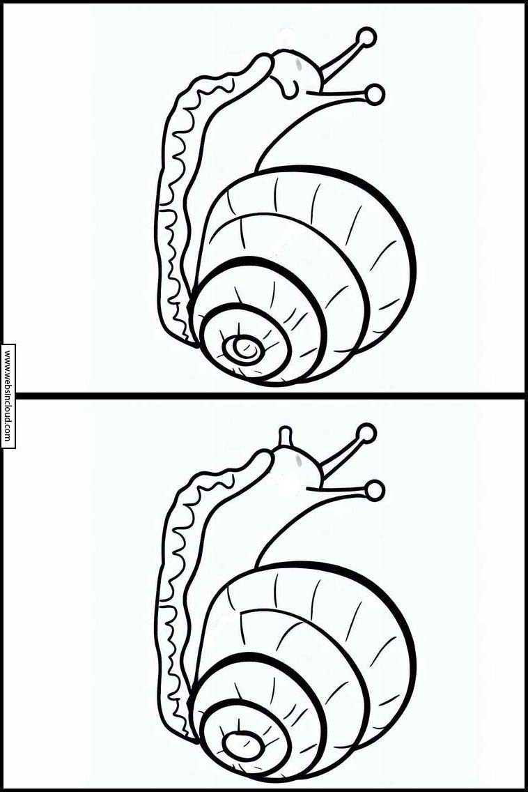 Escargots - Animaux 2