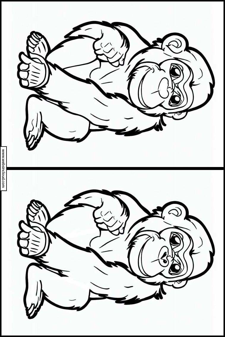 Schimpanser - Djur 2