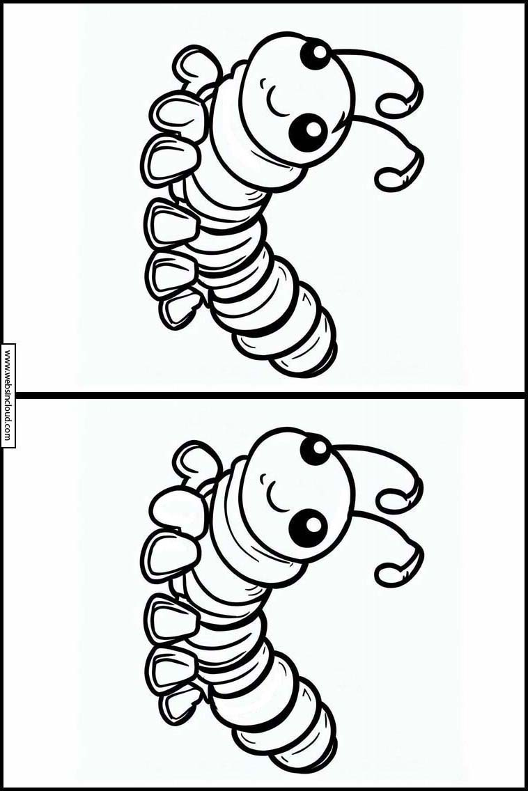 Centipedes - Animals 1