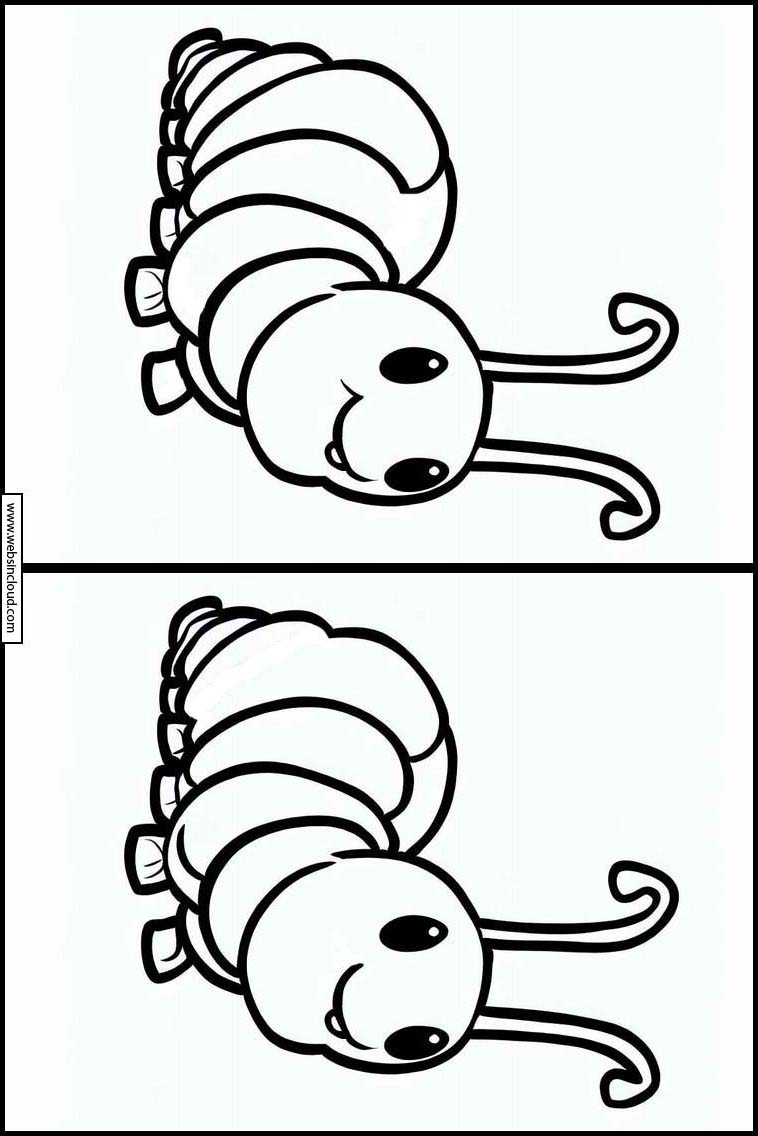 Centipedes - Animals 3