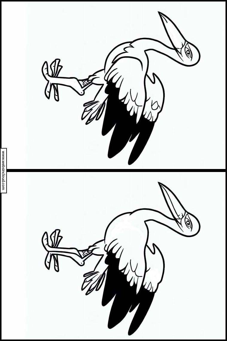 Stork - Dyr 3
