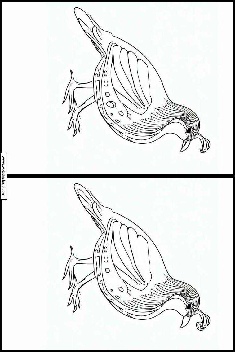 Codornices - Animales 4