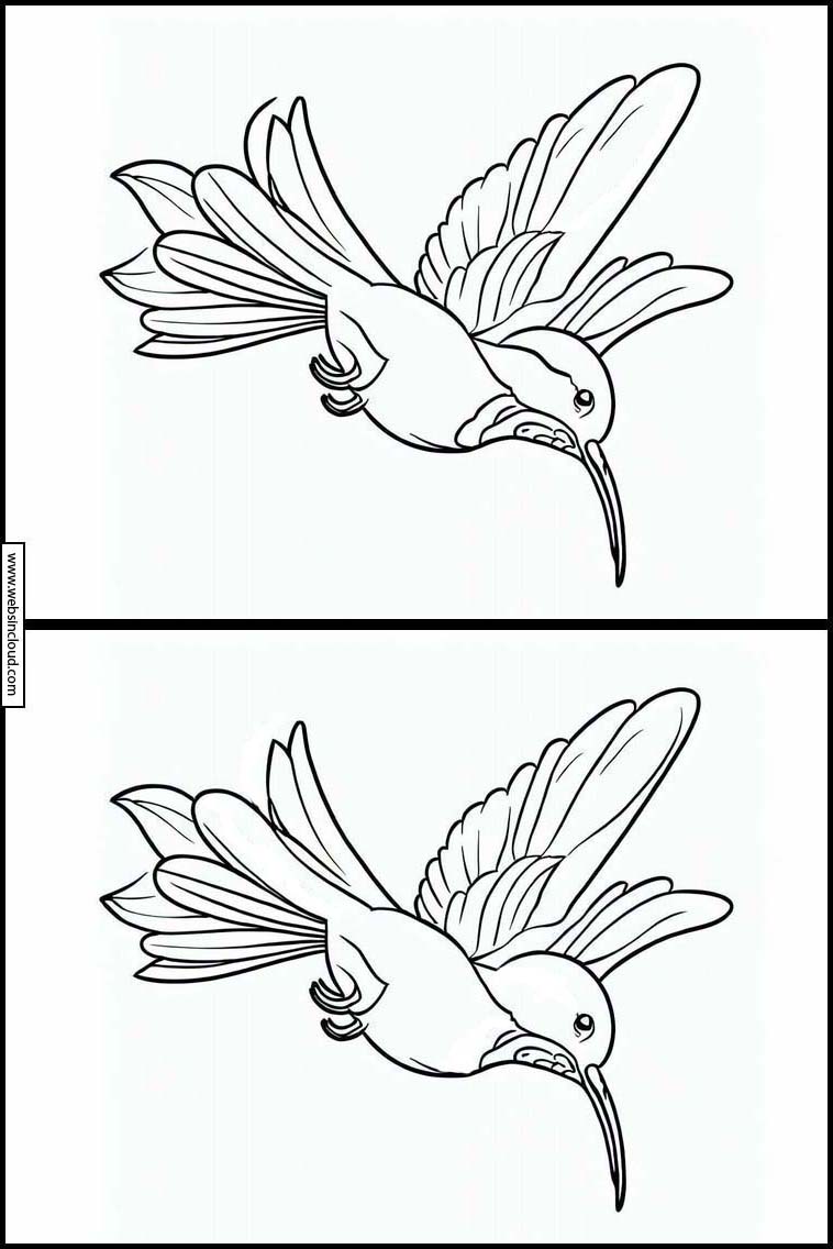Kolibrier - Dyr 6