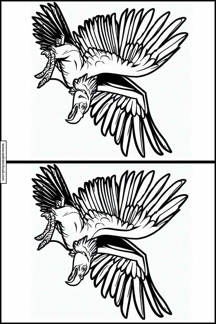 Condor - Dieren 2