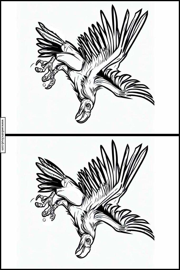 Condor - Dieren 4