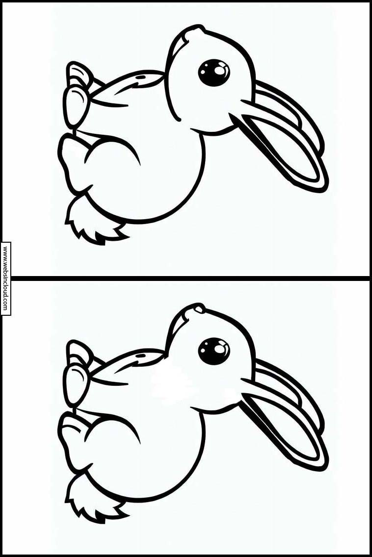Kaniner - Djur 1