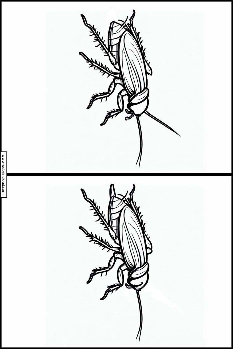 Kakerlaken - Tiere 2
