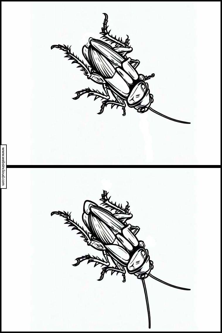Kakkerlakken - Dieren 3