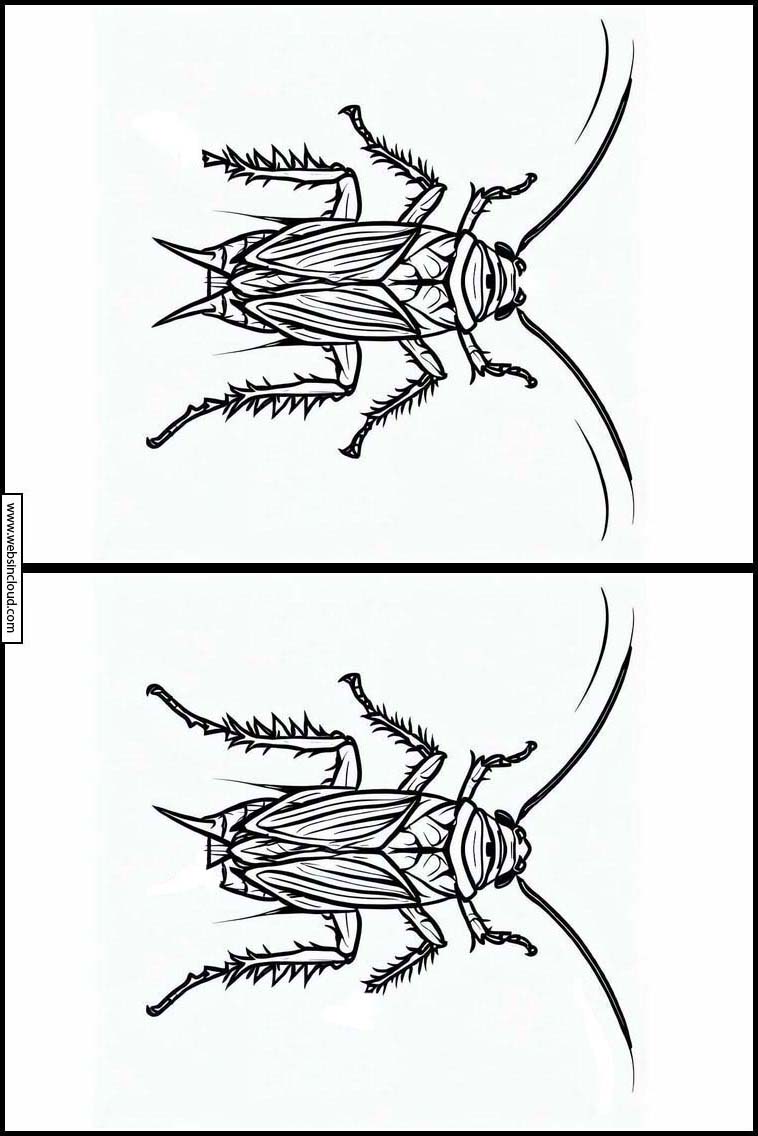 Kakerlakker - Dyr 4