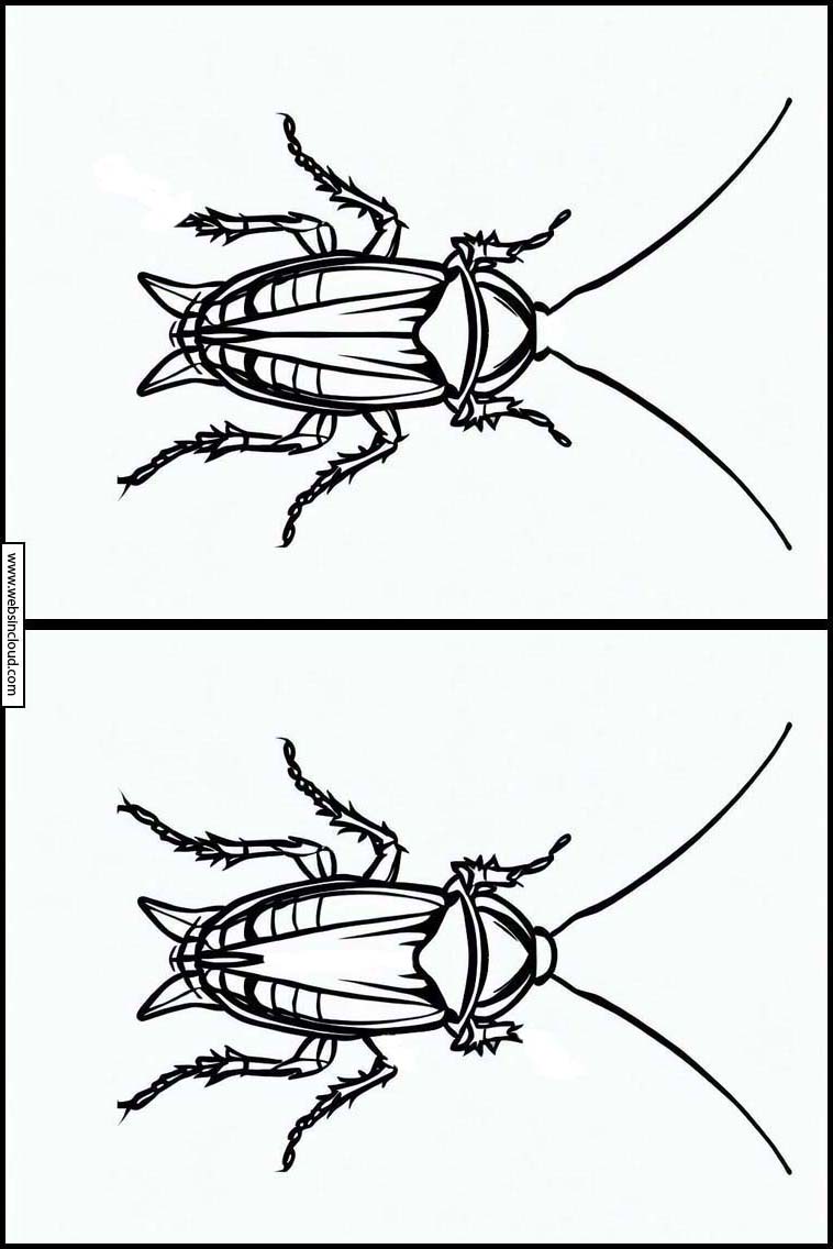 Kakerlakker - Dyr 5