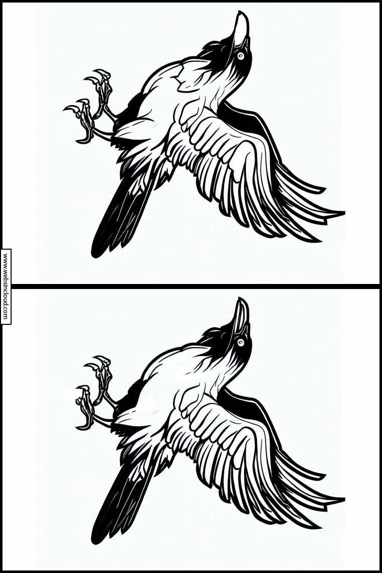 Ravens - Animals 4