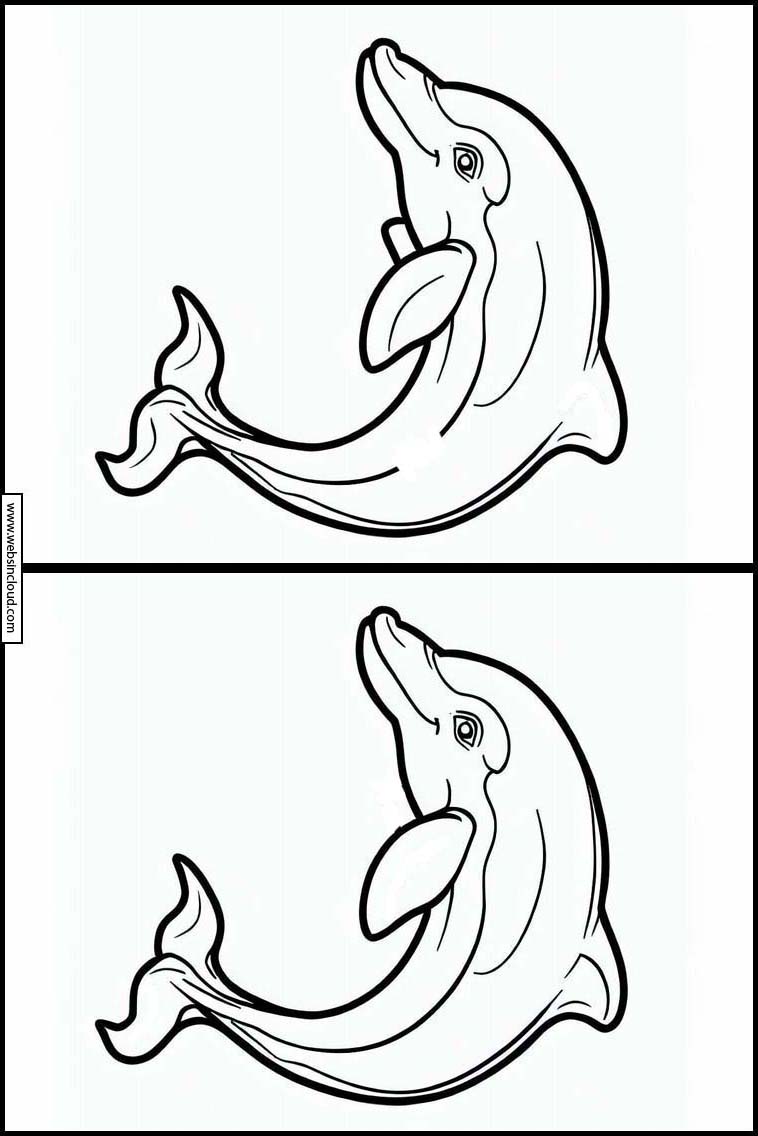 Dolfijnen - Dieren 1