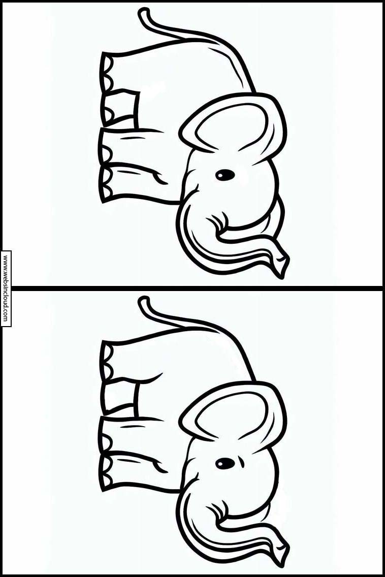 Éléphants - Animaux 1