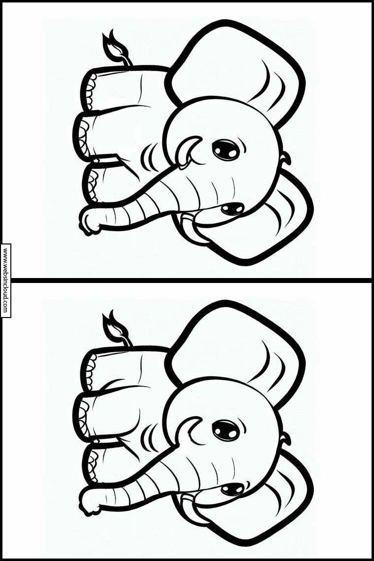 Elephants - Animals 3