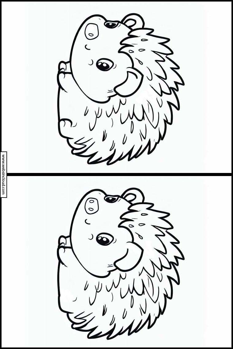 Hedgehogs - Animals 3