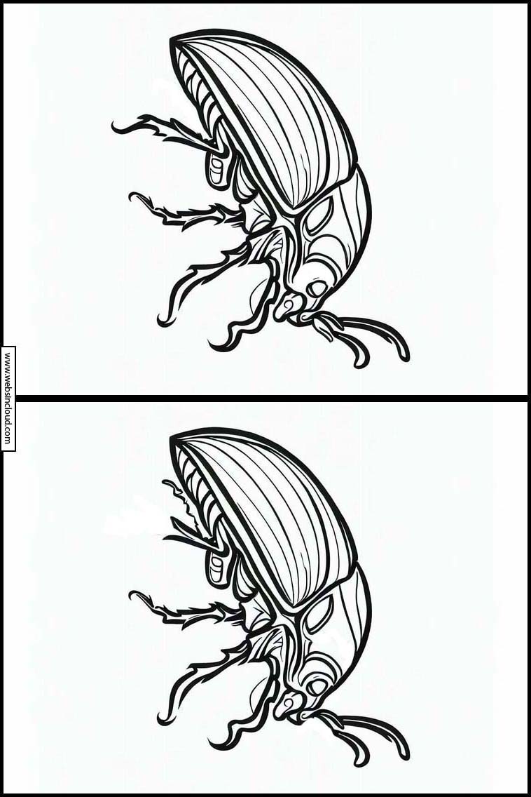 Kovakuoriaiset - Eläimet 1