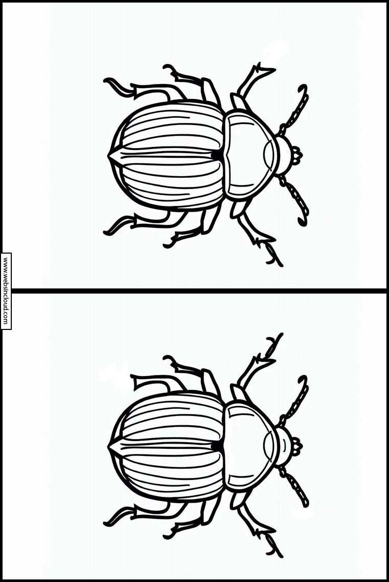 Kovakuoriaiset - Eläimet 2