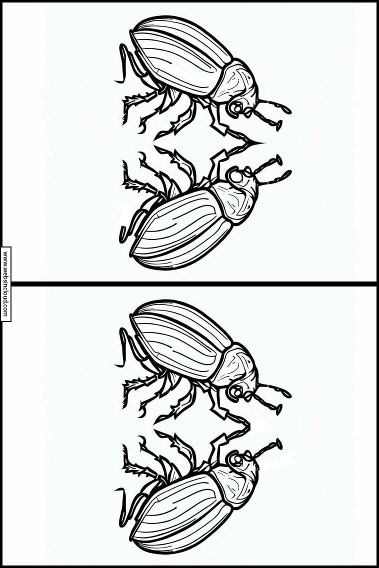 Skalbaggar - Djur 3