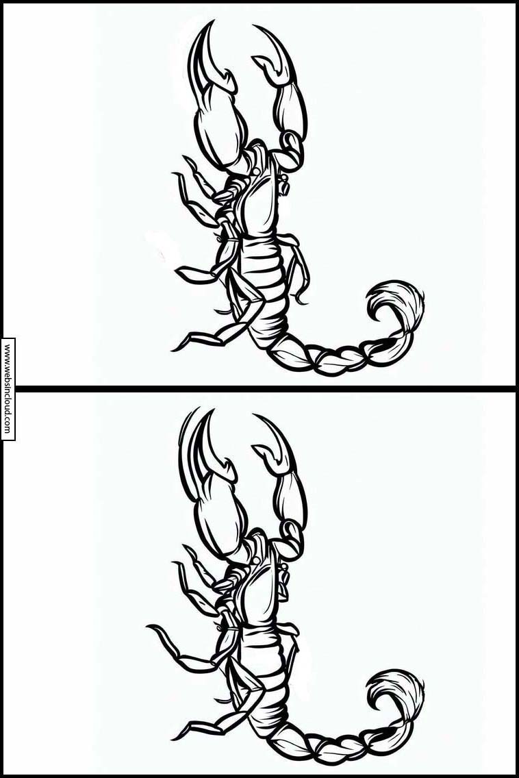 Escorpiões - Animais 1