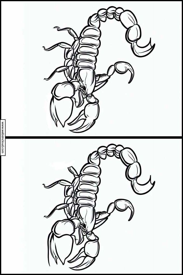 Schorpioenen - Dieren 3