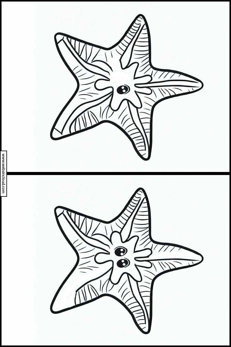 Starfish - Animals 1