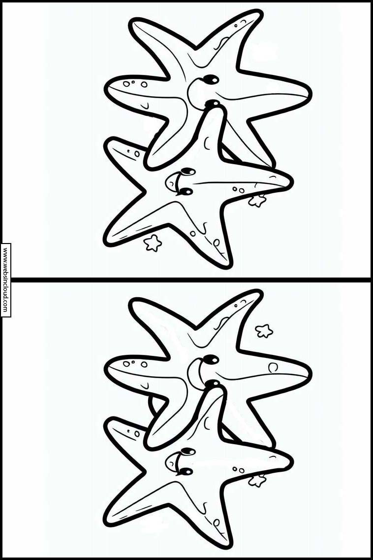 Starfish - Animals 4