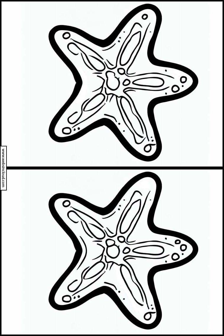 Starfish - Animals 5